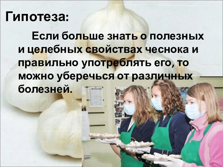 Гипотеза: Если больше знать о полезных и целебных свойствах чеснока и