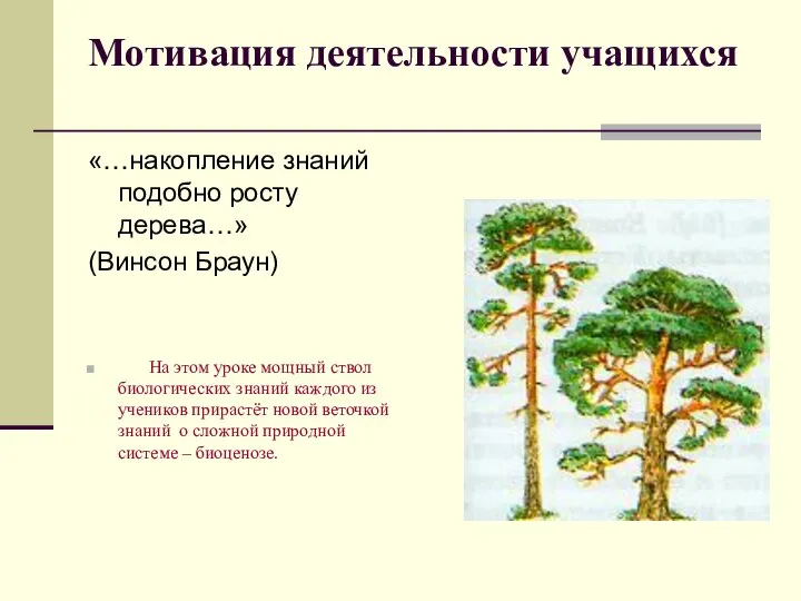 Мотивация деятельности учащихся «…накопление знаний подобно росту дерева…» (Винсон Браун) На