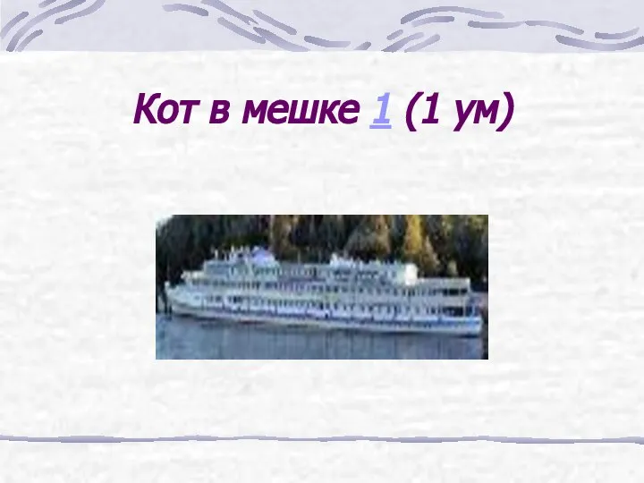 Кот в мешке 1 (1 ум)