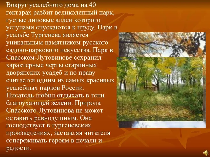 Вокруг усадебного дома на 40 гектарах разбит великолепный парк, густые липовые