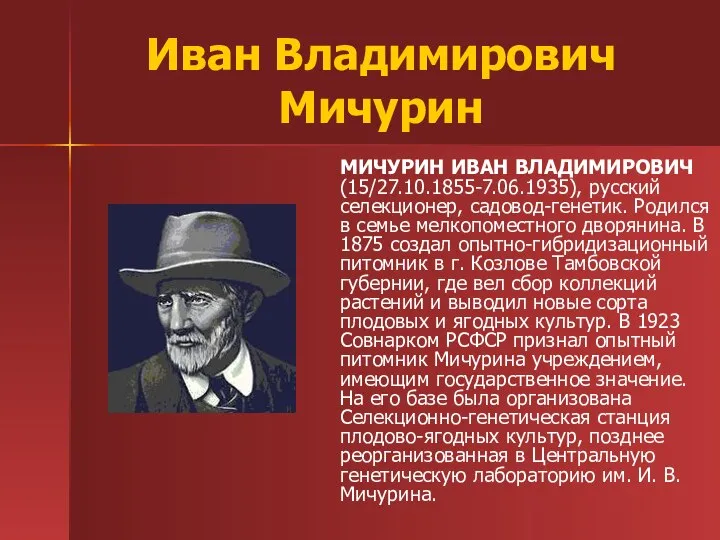 Иван Владимирович Мичурин МИЧУРИН ИВАН ВЛАДИМИРОВИЧ (15/27.10.1855-7.06.1935), русский селекционер, садовод-генетик. Родился