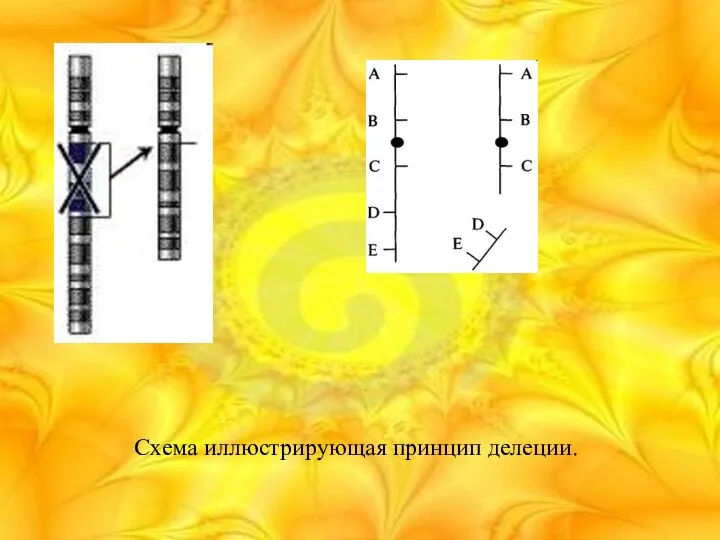 Схема иллюстрирующая принцип делеции.