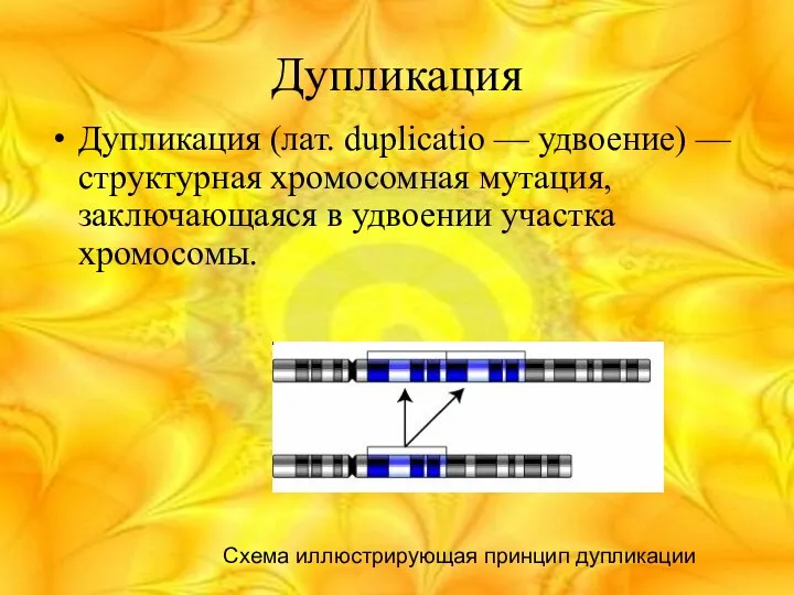 Дупликация Дупликация (лат. duplicatio — удвоение) — структурная хромосомная мутация, заключающаяся