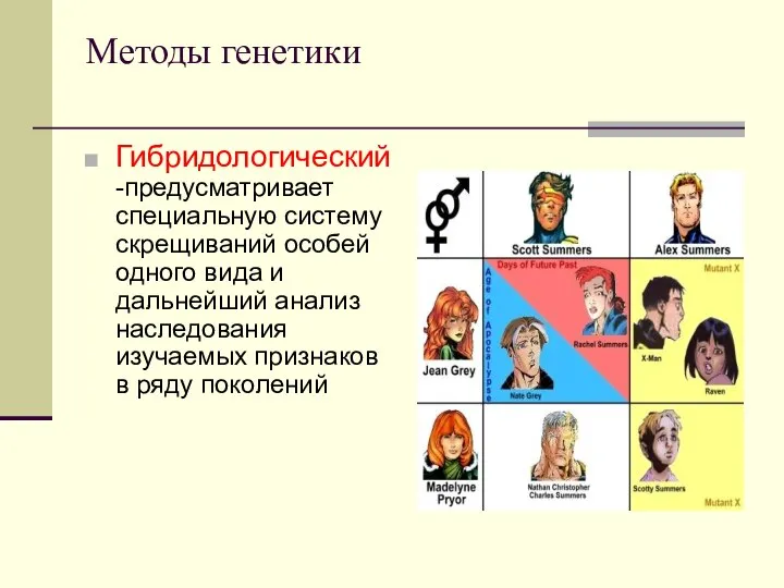 Методы генетики Гибридологический -предусматривает специальную систему скрещиваний особей одного вида и