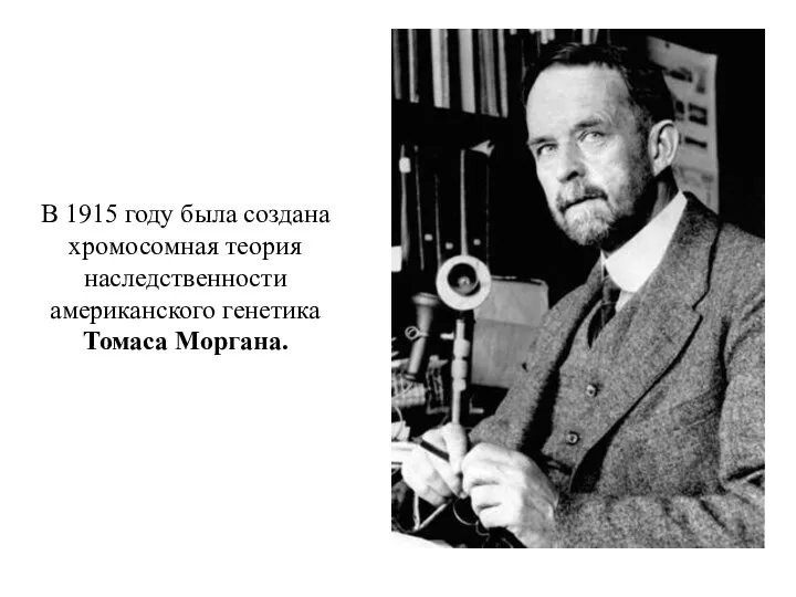 В 1915 году была создана хромосомная теория наследственности американского генетика Томаса Моргана.