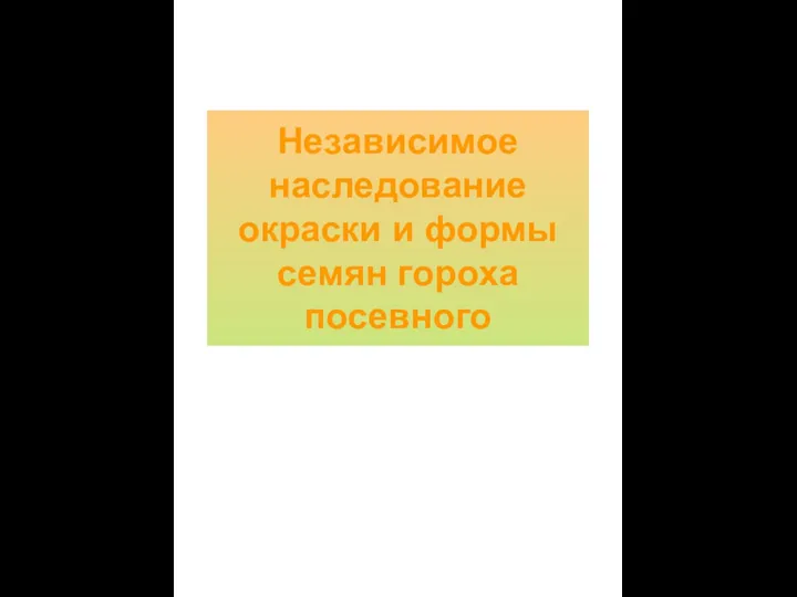 Независимое наследование окраски и формы семян гороха посевного