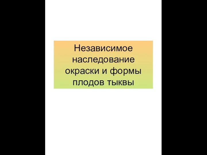 Независимое наследование окраски и формы плодов тыквы