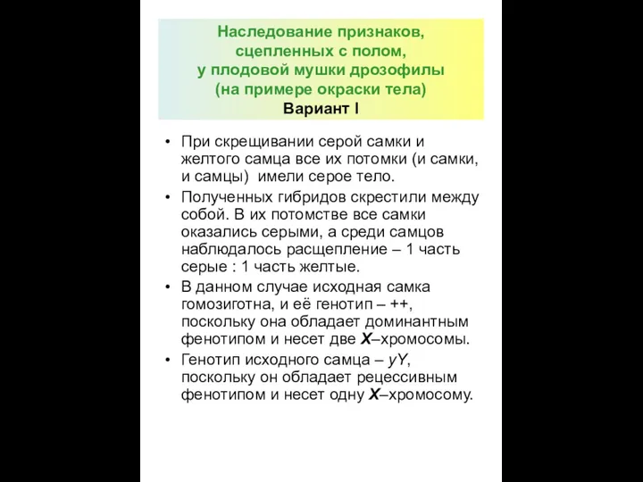 Наследование признаков, сцепленных с полом, у плодовой мушки дрозофилы (на примере