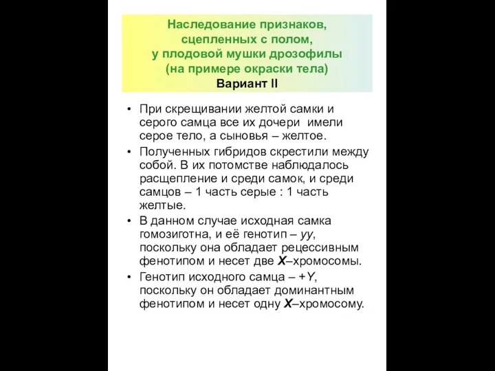 Наследование признаков, сцепленных с полом, у плодовой мушки дрозофилы (на примере