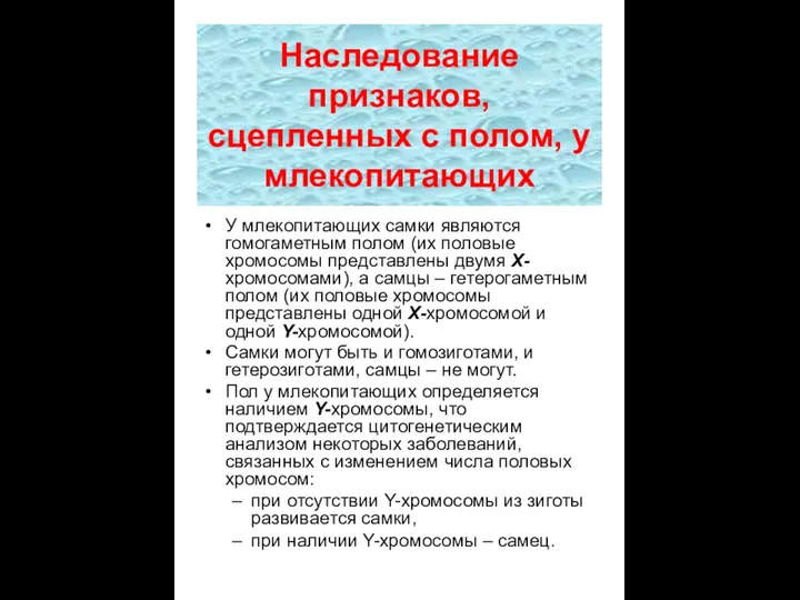 Наследование признаков, сцепленных с полом, у млекопитающих У млекопитающих самки являются