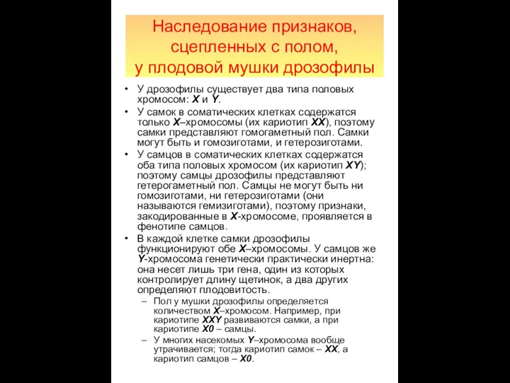 Наследование признаков, сцепленных с полом, у плодовой мушки дрозофилы У дрозофилы