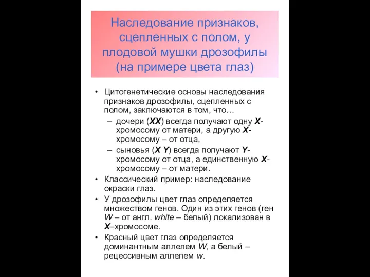 Наследование признаков, сцепленных с полом, у плодовой мушки дрозофилы (на примере