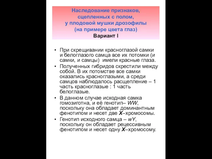 Наследование признаков, сцепленных с полом, у плодовой мушки дрозофилы (на примере