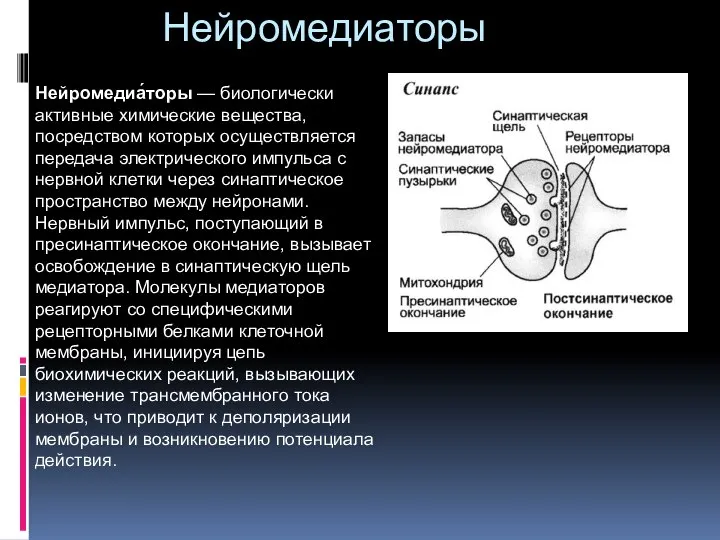 Нейромедиаторы Нейромедиа́торы — биологически активные химические вещества, посредством которых осуществляется передача