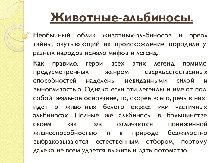 Животные-альбиносы. Необычный облик животных-альбиносов и ореол тайны, окутывающий их происхождение, породили