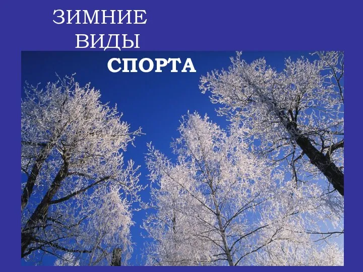 ЗИМНИЕ ВИДЫ СПОРТА