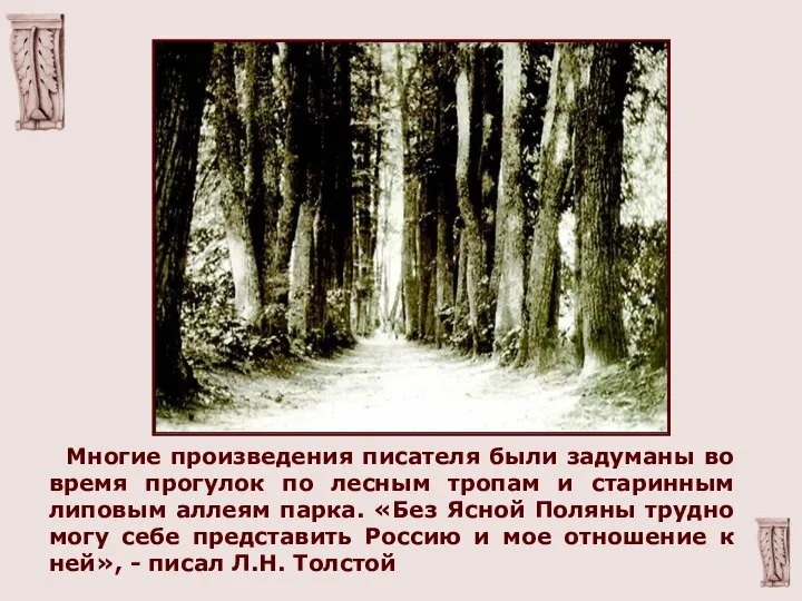 Многие произведения писателя были задуманы во время прогулок по лесным тропам