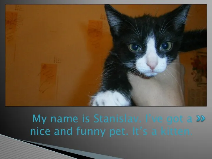 My name is Stanislav. I’ve got a nice and funny pet. It’s a kitten.