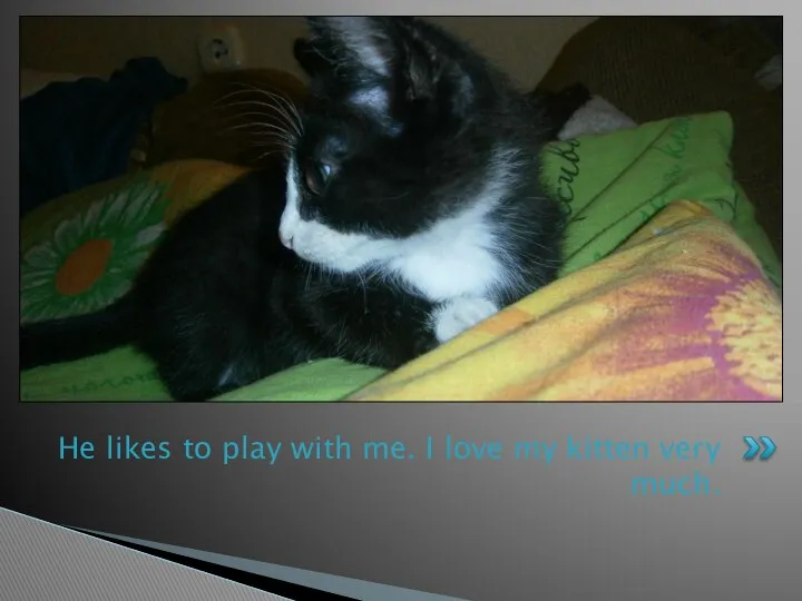 He likes to play with me. I love my kitten very much.