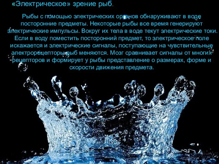 Рыбы с помощью электрических органов обнаруживают в воде посторонние предметы. Некоторые