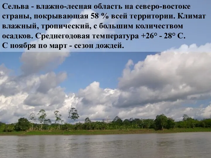 Сельва - влажно-лесная область на северо-востоке страны, покрывающая 58 % всей