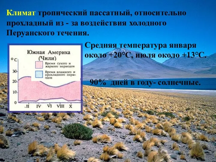 Климат тропический пассатный, относительно прохладный из - за воздействия холодного Перуанского