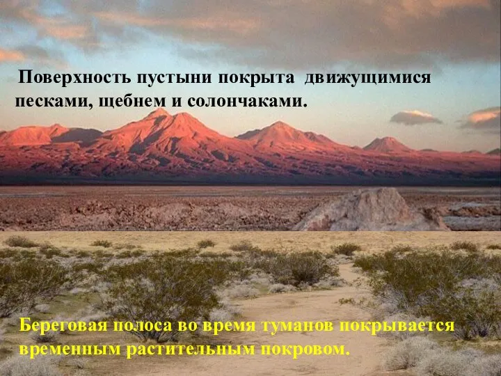 Поверхность пустыни покрыта движущимися песками, щебнем и солончаками. Береговая полоса во