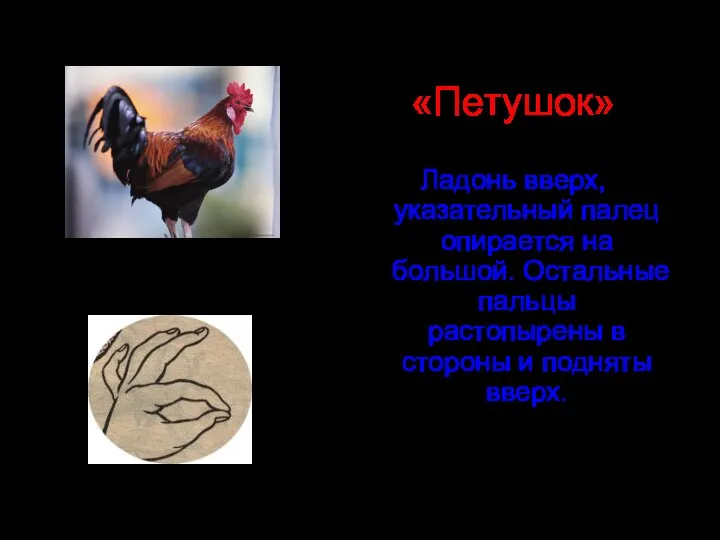 «Петушок» Ладонь вверх, указательный палец опирается на большой. Остальные пальцы растопырены в стороны и подняты вверх.