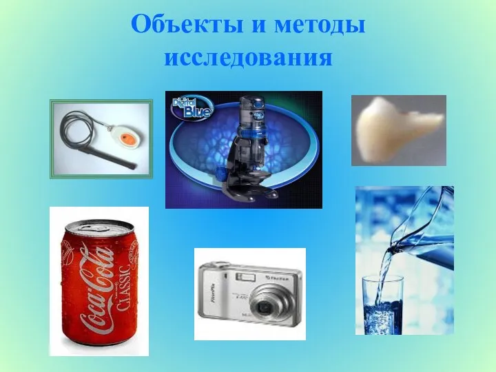 Объекты и методы исследования