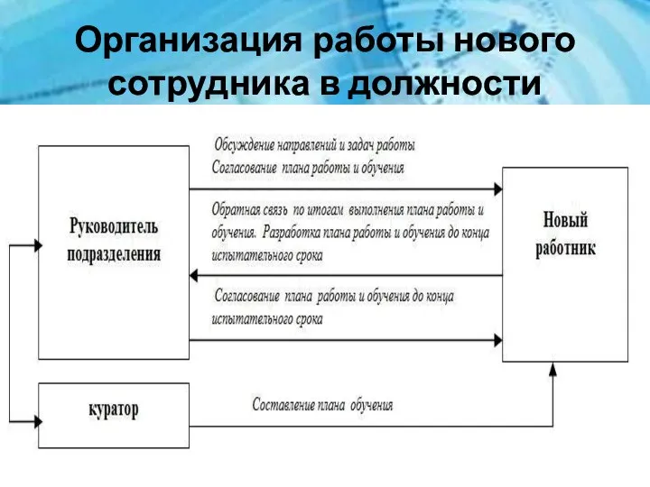 Организация работы нового сотрудника в должности