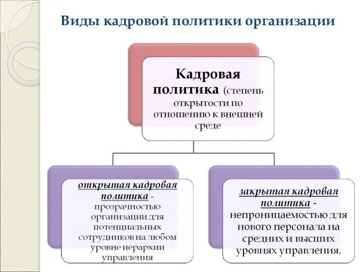 Виды кадровой политики организации