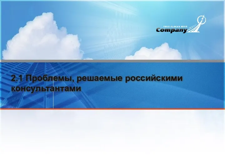 2.1 Проблемы, решаемые российскими консультантами