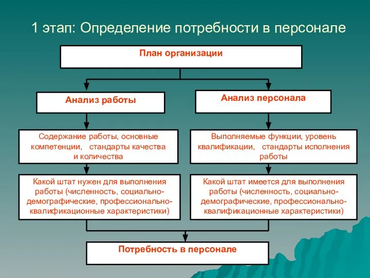 1 этап: Определение потребности в персонале