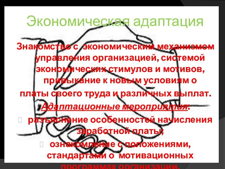 Экономическая адаптация Знакомство с экономическим механизмом управления организацией, системой экономических стимулов