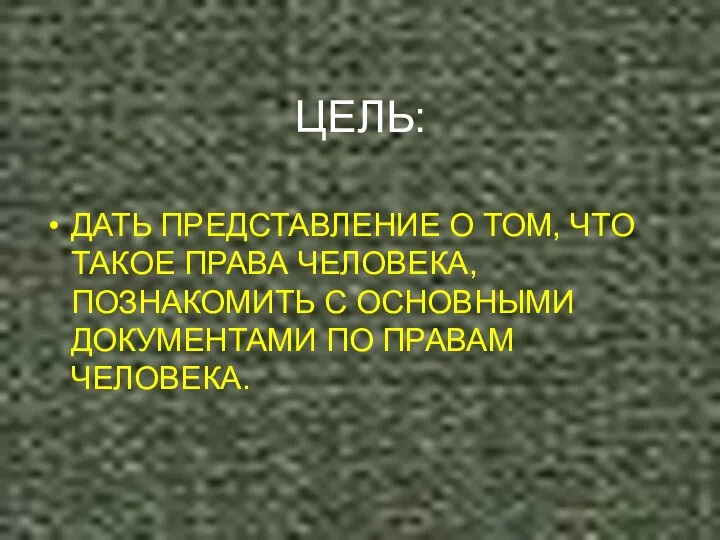 ЦЕЛЬ: ДАТЬ ПРЕДСТАВЛЕНИЕ О ТОМ, ЧТО ТАКОЕ ПРАВА ЧЕЛОВЕКА, ПОЗНАКОМИТЬ С ОСНОВНЫМИ ДОКУМЕНТАМИ ПО ПРАВАМ ЧЕЛОВЕКА.