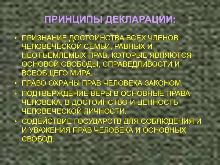 ПРИНЦИПЫ ДЕКЛАРАЦИИ: ПРИЗНАНИЕ ДОСТОИНСТВА ВСЕХ ЧЛЕНОВ ЧЕЛОВЕЧЕСКОЙ СЕМЬИ, РАВНЫХ И НЕОТЪЕМЛЕМЫХ