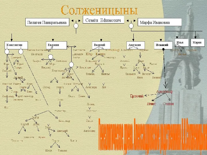 Генеалогическое древо. Aлександровские родственники А.И.Солженицына