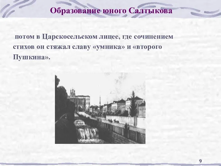 Образование юного Салтыкова потом в Царскосельском лицее, где сочинением стихов он