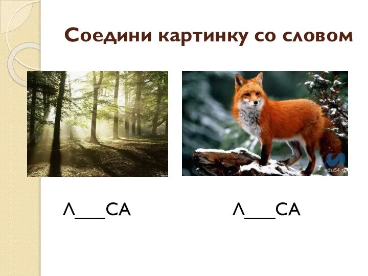 Соедини картинку со словом Л___СА Л___СА