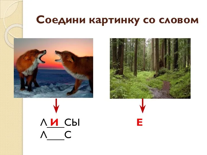 Соедини картинку со словом Л___СЫ Л___С И Е