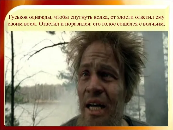 Гуськов однажды, чтобы спугнуть волка, от злости ответил ему своим воем.