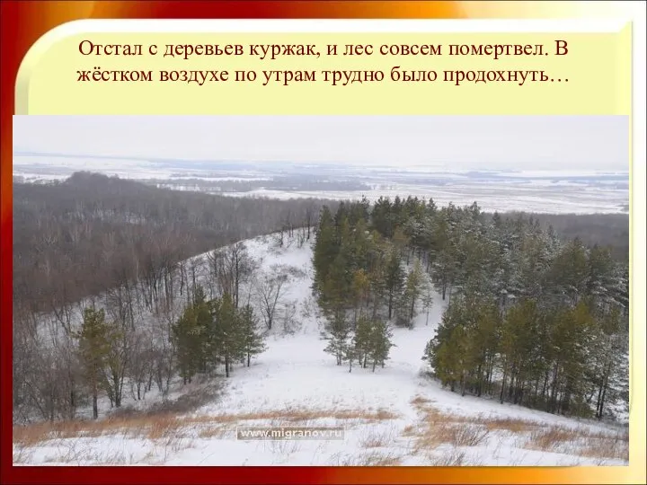 Отстал с деревьев куржак, и лес совсем помертвел. В жёстком воздухе по утрам трудно было продохнуть…