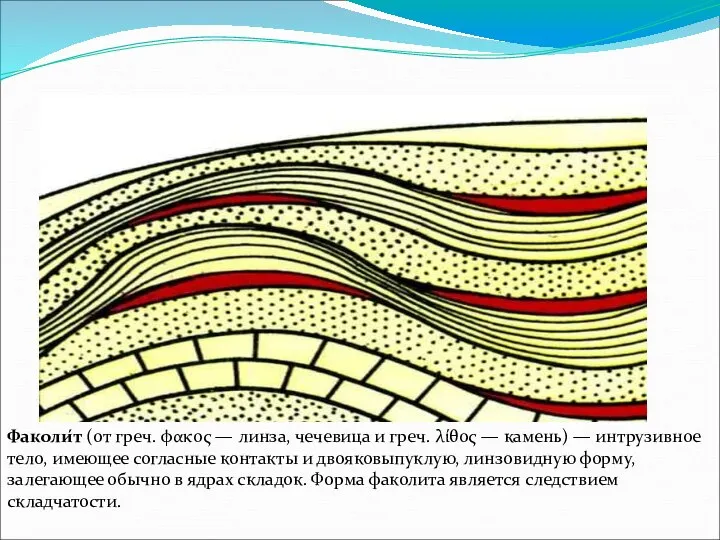 Факолиты. Факоли́т (от греч. φακος — линза, чечевица и греч. λίθος