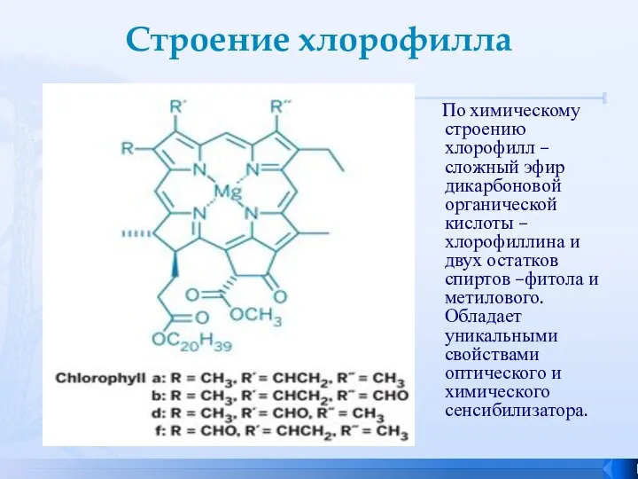 Строение хлорофилла По химическому строению хлорофилл – сложный эфир дикарбоновой органической