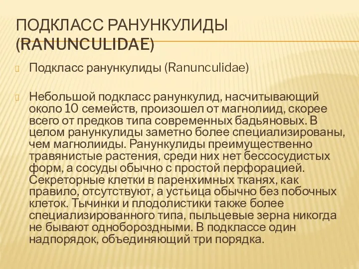 Подкласс ранункулиды (Ranunculidae) Подкласс ранункулиды (Ranunculidae) Небольшой подкласс ранункулид, насчитывающий около