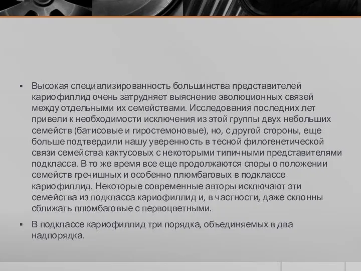 Высокая специализированность большинства представителей кариофиллид очень затрудняет выяснение эволюционных связей между