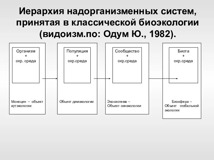 Иерархия надорганизменных систем, принятая в классической биоэкологии (видоизм.по: Одум Ю., 1982).