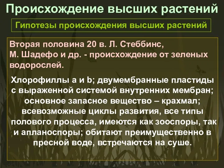 Происхождение высших растений Гипотезы происхождения высших растений Вторая половина 20 в.