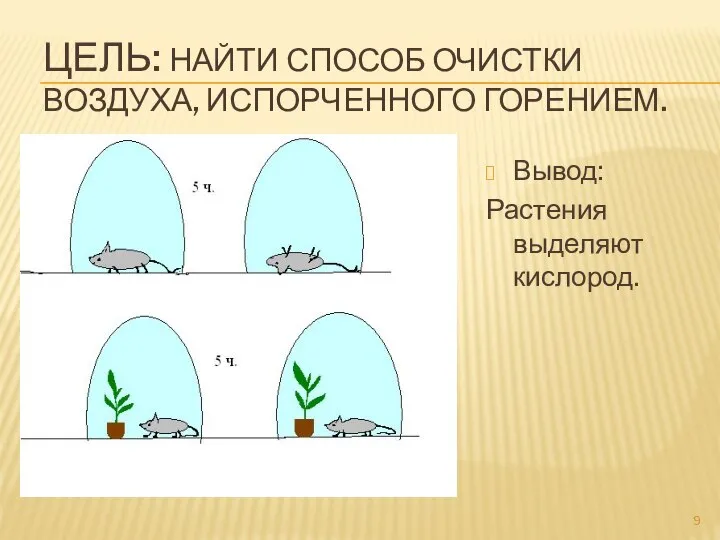 Цель: Найти способ очистки воздуха, испорченного горением. Вывод: Растения выделяют кислород.