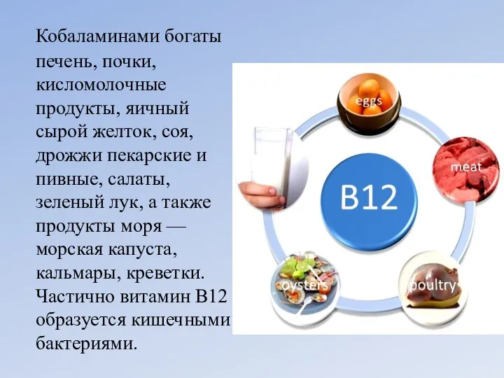 Кобаламинами богаты печень, почки, кисломолочные продукты, яичный сырой желток, соя, дрожжи